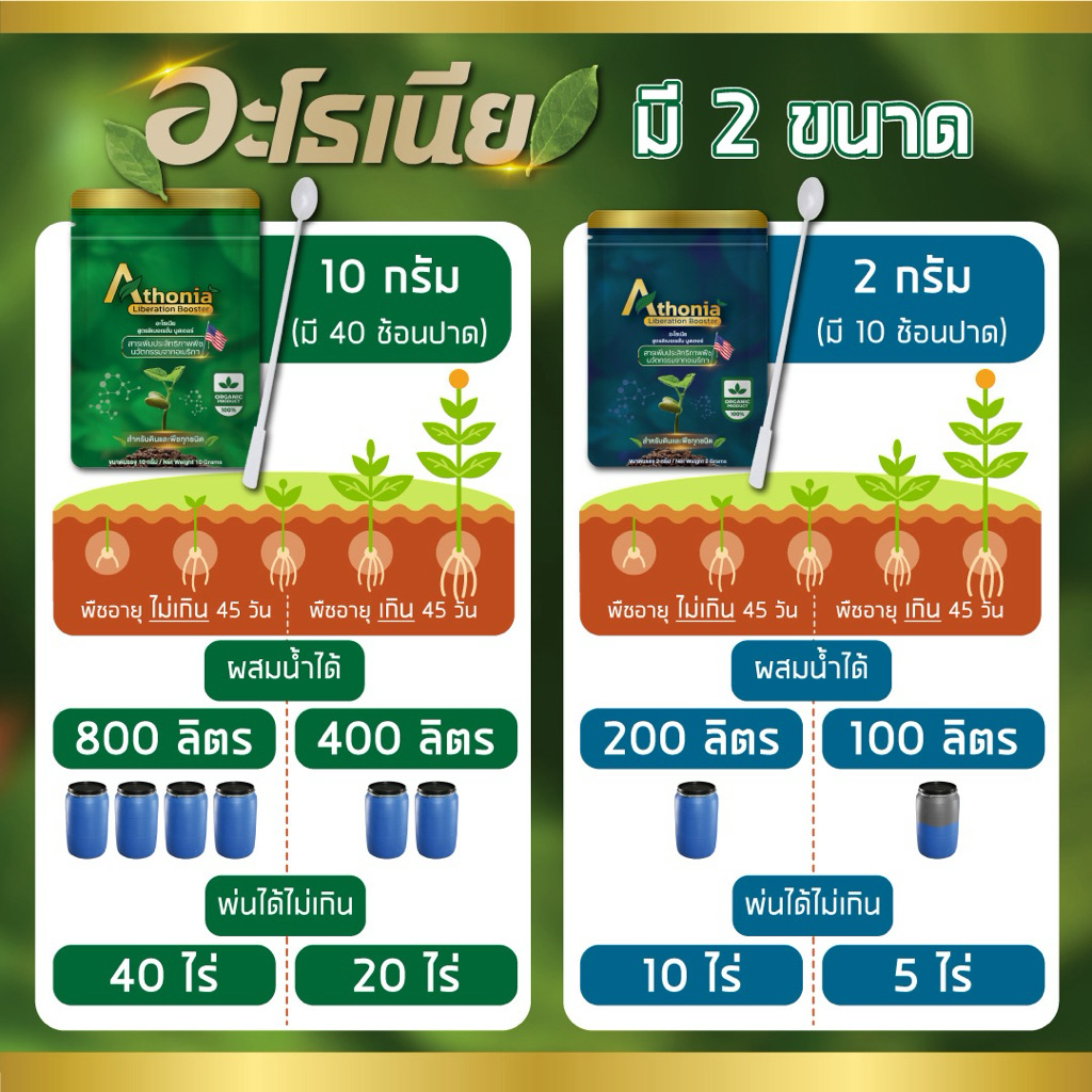 อะโธเนีย อาหารเสริมพืชทางใบ เร่งราก เร่งโต เร่งดอก เพิ่มน้ำตาล เพิ่มผลผลิต ราคา ถูกที่สุด ดีลบีเคเค แกลเลอรีภาพที่ 4