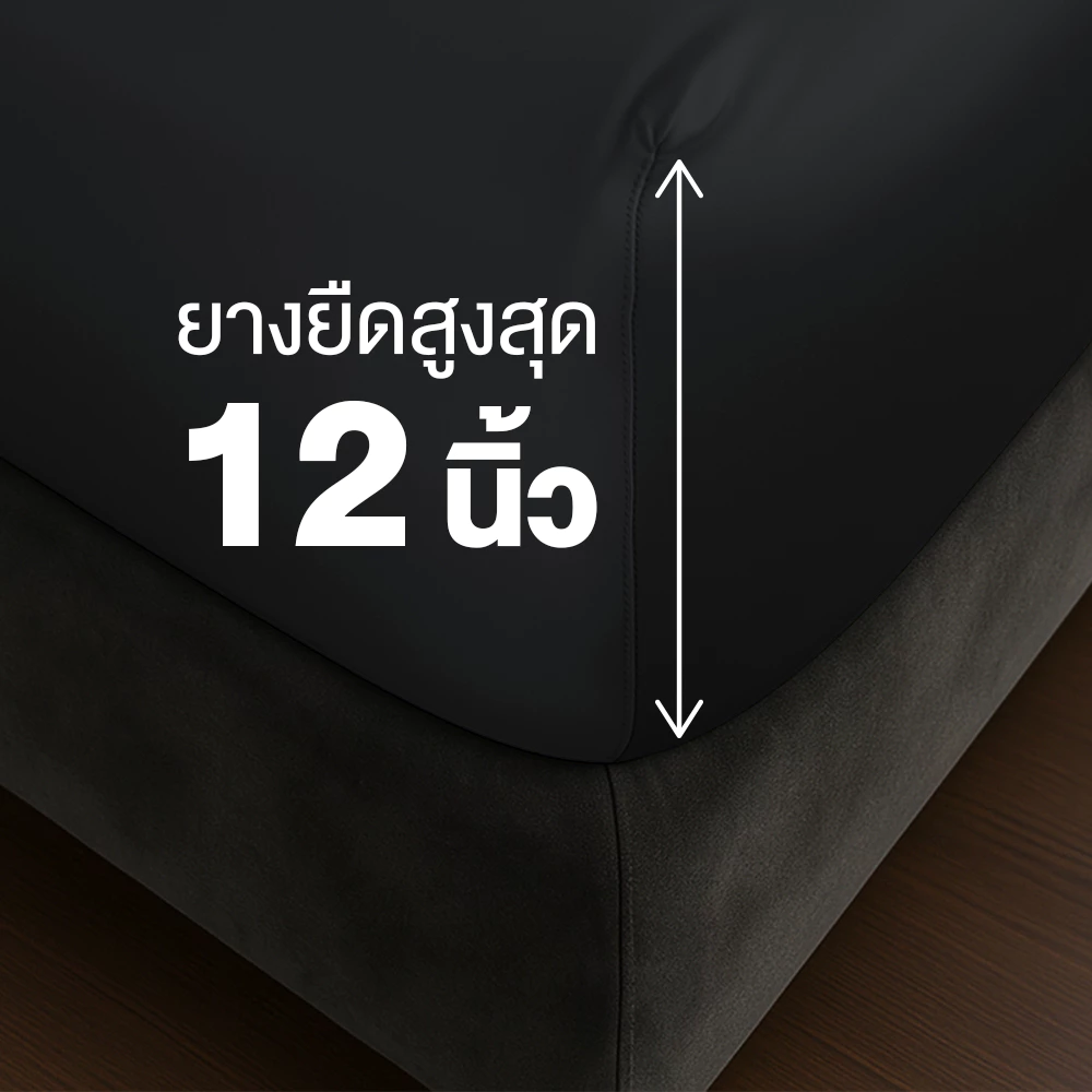 ผ้าปูที่นอน ibed รุ่น Adaptive Cool Silk สีดำ thumbnail 8