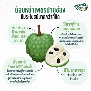 น้อยหน่าเพชรปากช่อง (เนื้อหนัง) เนื้อแน่น เมล็ดน้อย หวานหอม สดจากสวน