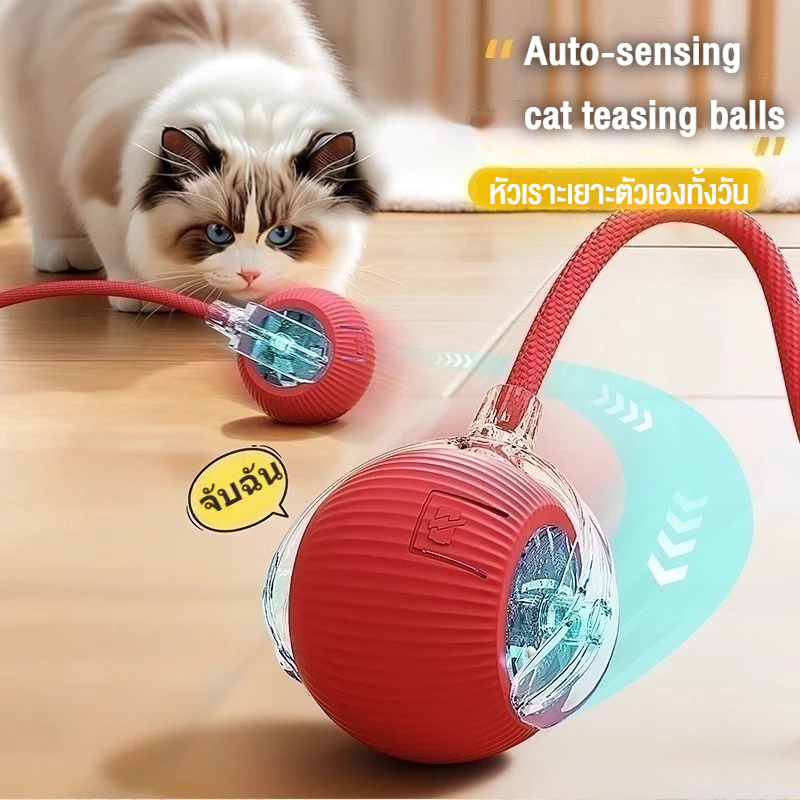 🐱🐱ของเล่นแมวอัจฉริยะ  ลูกบอลแมวอัติโนมัติ ของเล่นแมวโต้ตอบ Cat Toy แมวเล่นลูกบอล เรืองแสง สมาร์ทไฟฟ้า ลูกแมวหยอกล้อ