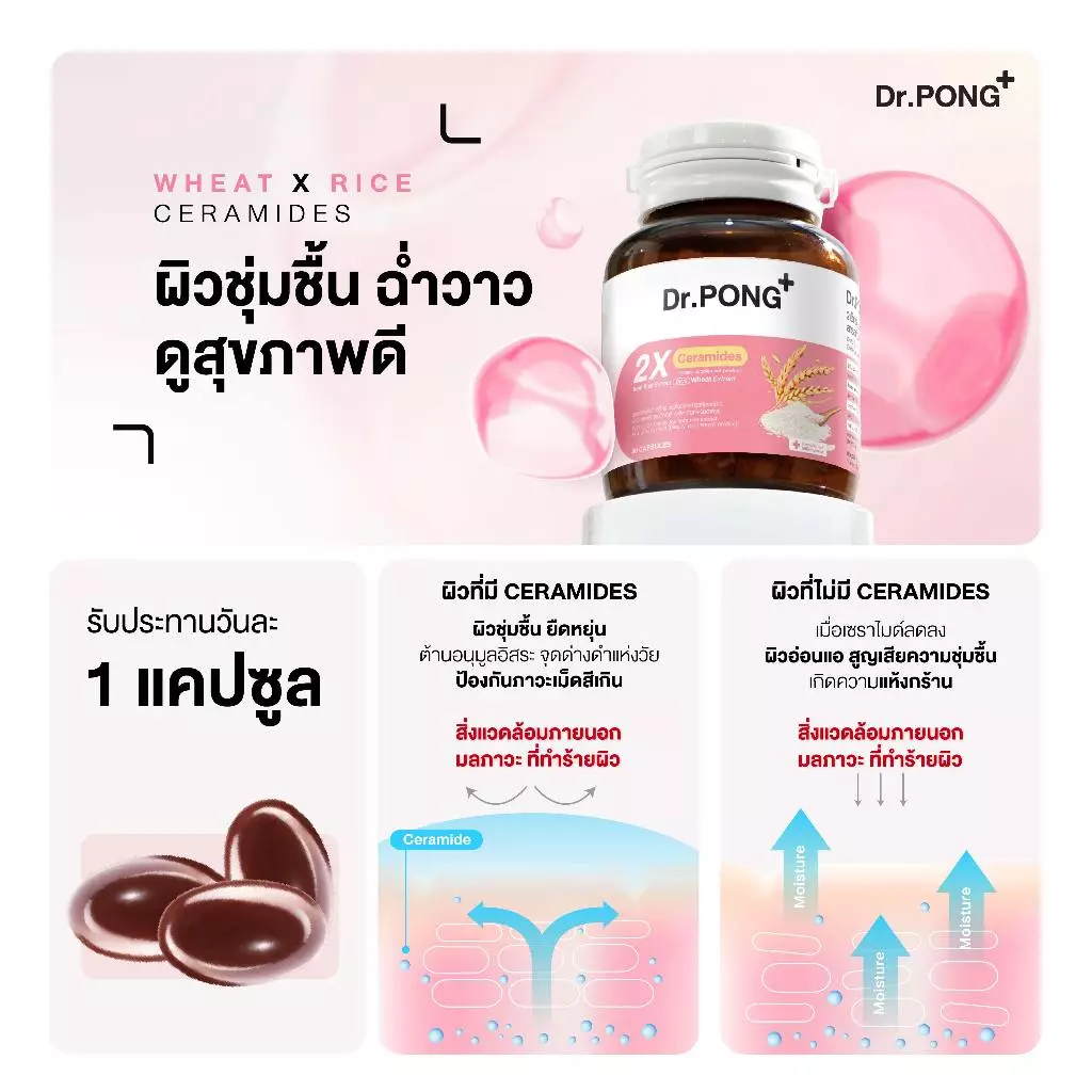 Dr.PONG 2X Ceramides from Rice Extract Plus Wheat Extract thumbnail 3