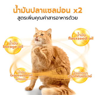 Petus น้ำมันปลา Pethera น้ำมันปลาแซลมอน Salmon Oil น้ำมันปลาแซลมอน อาหารเสริม โอเมก้า 3 6 9 DHA