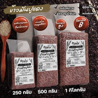 [ อรุณไรซ์ ] ข้าวแดงมันปู หอมนุ่ม หุงขึ้นหม้อ อร่อยสุดๆ ขนาด 250/500/1000 กรัม