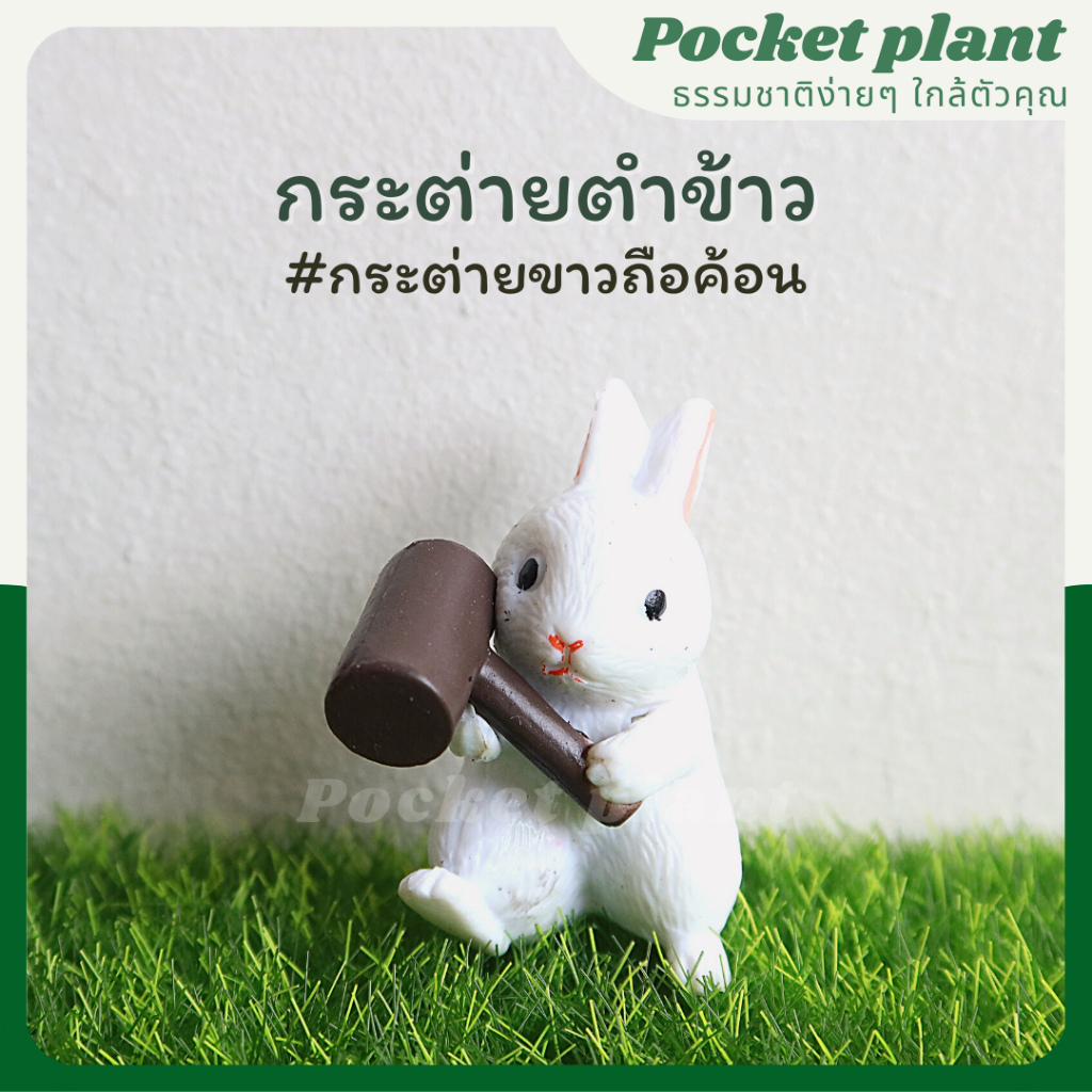 มุมมอง 3