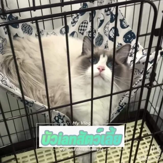 🐈เปลญวนแมว、เปลแมว、เตียงแขวนสัตว์เลี้ยง、เกรดพรีเมี่ยม ผ้านุ่ม นอนสบาย ที่นอนแมว สำหรับแขวนกรง เปลแมว เกรดพรีเมี่ยม