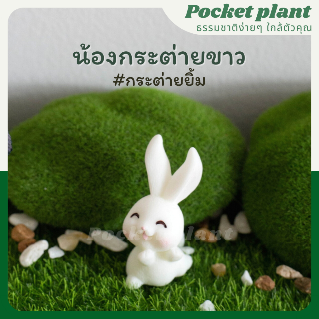 มุมมอง 4