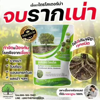 ซุปเปอร์ไตรโค ตราเทพมงคล กำจัดโรคจากเชื้อรา ป้องกัน กำจัดโรคพืช แก้ใบเหลือง รากเน่า โคนเน่า โรคใบจุด ใบแห้ง โรคทลายปาล์ม