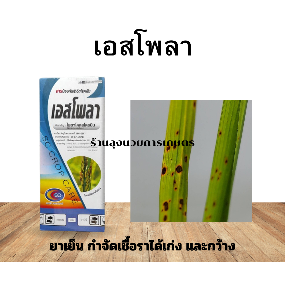 ไพราโคลสโตรบิน ขนาด1ลิตร (สารเดียวกับ เฮดไลน์) สารป้องกันกำจัดเชื้อรา กลุ่ม11 สูตรเย็น ป้องกันกำจัดโรคได้หลากหลายชนิด