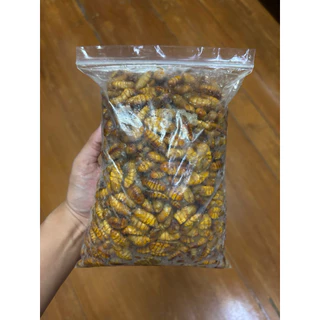 ดักแด้แช่แข็ง อาหารชูก้า ไม่ปรุงรส สัตว์เลี้ยงทานได้