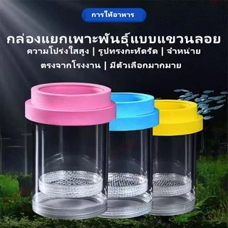 กล่องฟักไข่ปลาที่ลอยได้ กล่องฟักลอย กล่องแยกปลาคลอดลูก 2ช่องแยกลูกกุ้ง และแยกปลาที่กำลังป่วย สองขนาด