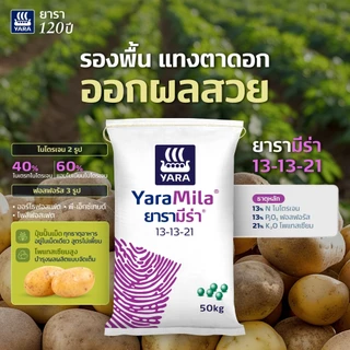 ปุ๋ยเคมียาร่ามีร่าแบ่งขาย1กก. 15-15-15,16-16-16,8-24-24,13-13-21,25-7-7,46-0-0,13-4-25,15-0-0 แคลเซียมไนเตรท