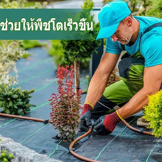 Daily Gold ผ้าคลุมดิน(เกรด A) พลาสติกคลุมวัชพืช พราสติกคลุมดิน น้ำซึมผ่านได้ ป้องกันรังสี UV รับประกัน5ปี