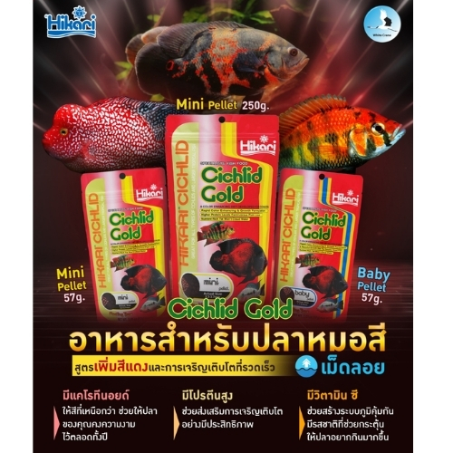 Hikari Cichlid Gold ปลาหมอทุกสายพันธุ์  สูตรเร่งสีสวยตามธรรมชาติ  57กรัม  ,  250กรัม