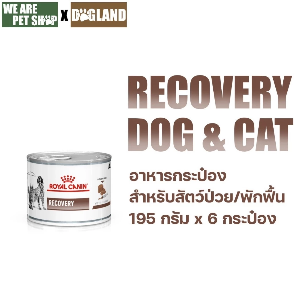 Royal Canin Vet Dog 6 กระป๋อง Recovery หมาแมวพักฟื้น 195*6 กป ครึ่งโหล