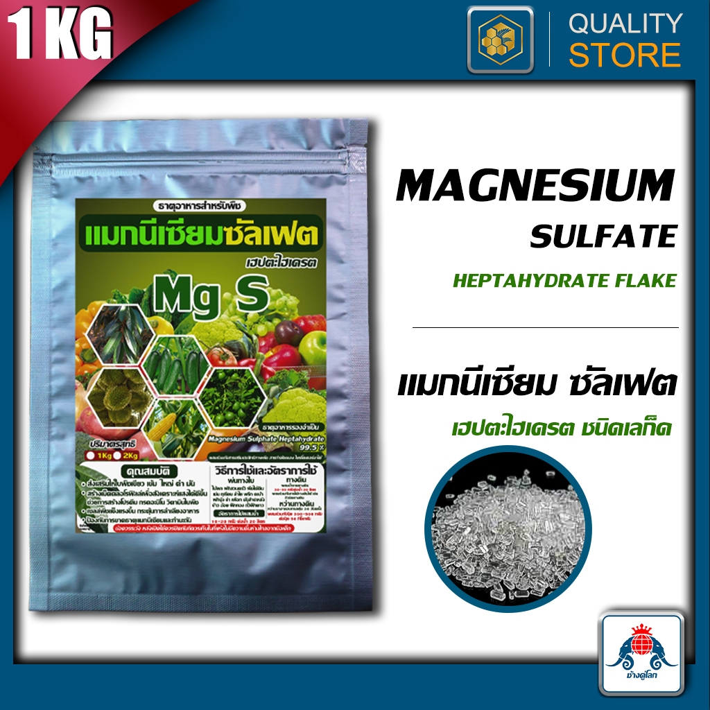 Magnesium Sufate ขนาด 1 กิโลกรัม ใบเขียว เข้ม ใหญ่ ดำ สร้างคลอโรฟิลล์ สังเคราะห์อาหารได้มากขึ้น