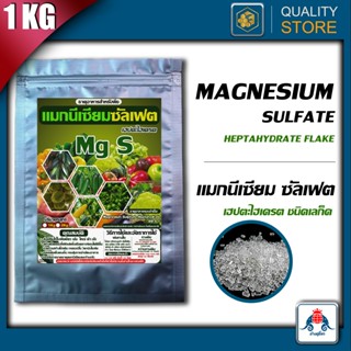 Magnesium Sufate ขนาด 1 กิโลกรัม ใบเขียว เข้ม ใหญ่ ดำ สร้างค…