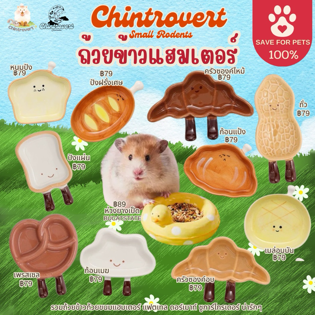 Chintrovert ✨| ถ้วยข้าวแฮมเตอร์ แฟตเทล ดอร์เมาท์ ชูการ์ไกรเดอร์ สัตว์ฟันแทะทุกชนิด | ใส่อาหาร ขนม |