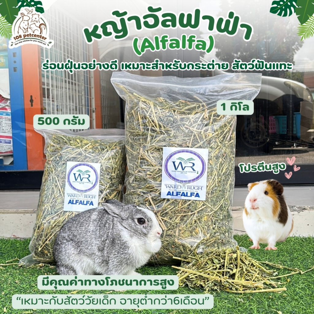 หญ้าอัลฟาฟ่า  Premium Alfalfa Hay ก้าน + ใบ มีให้เลือก 2 ขนาด 1kg/500g