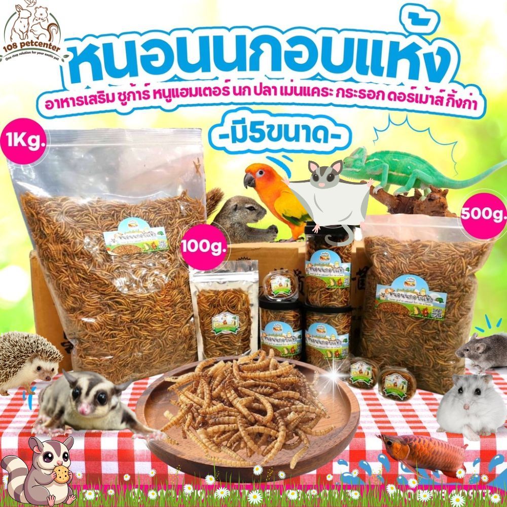 หนอนนกอบแห้ง อาหารเสริมหนูแฮมเตอร์ ชูก้าร์ไกลเดอร์ นก ขนมชูการ์ไกลเดอร์ อาหารเสริมชูก้าร์