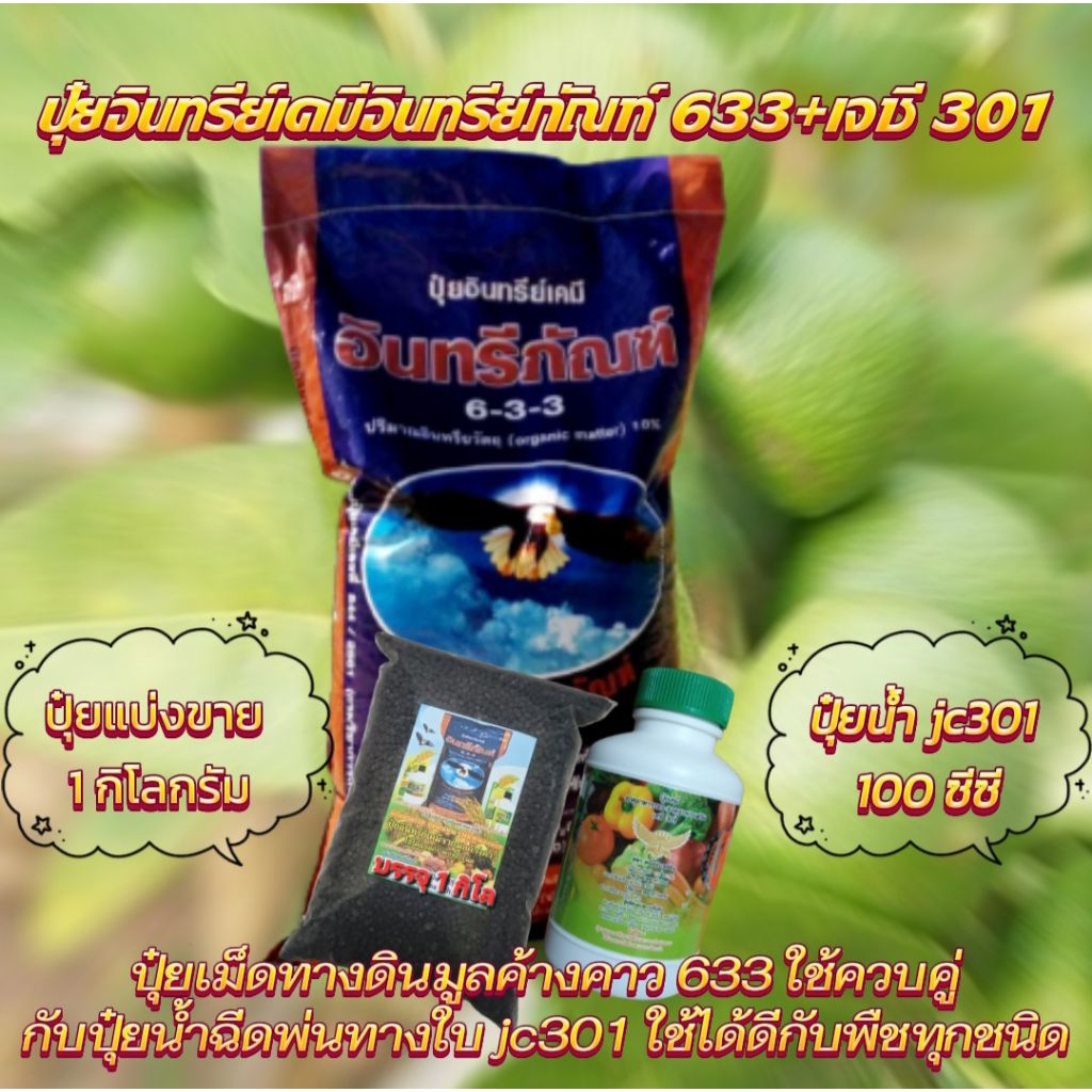 2 ชิ้นปุ๋ยอินทรีย์มูลค้างคาว 633+1 กิโล+ ปุ๋ยน้ำ เจซี 301 ขนาด 100 cc สารเร่งโตเร่งใบ ใช้ควบคู่กับปุ