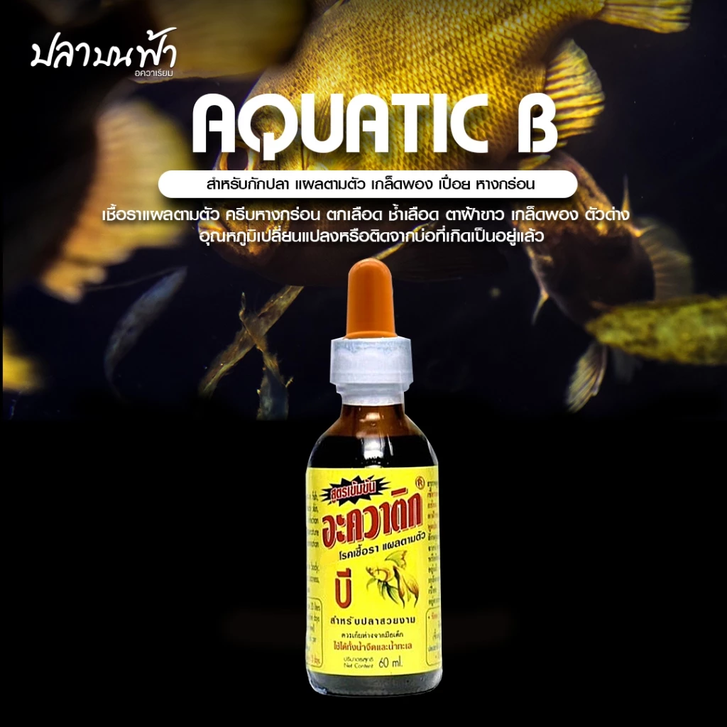 AQUATIC B อะควาติก บี สูตรเข้มข้น ขนาด 60 ml. ใช้ได้ทั้งน้ำจืดและเค็ม สำหรับปลาสวยงาม
