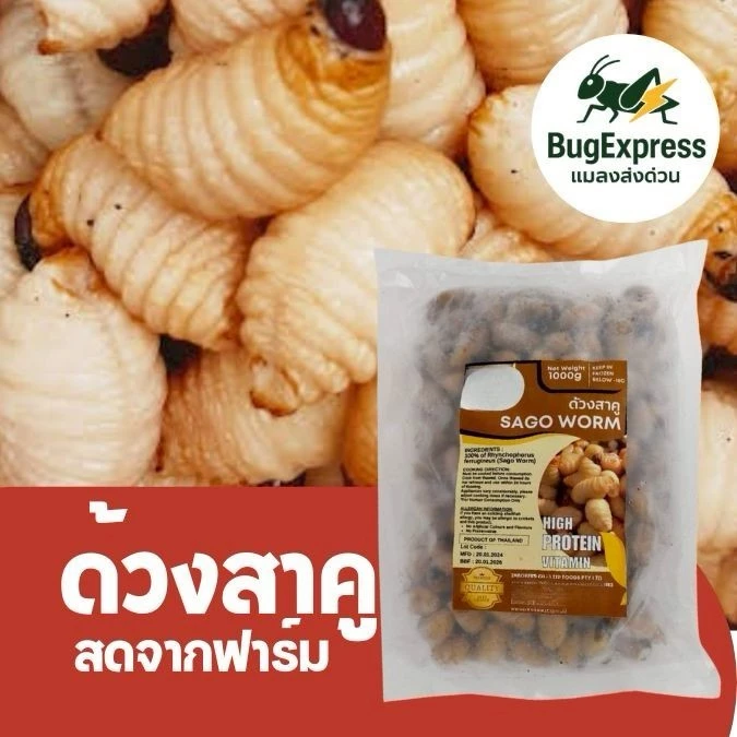 ด้วงสาคูแช่แข็ง (ด้วงมะพร้าว) 1000กรัม ยี่ห้อแมลงส่งด่วน