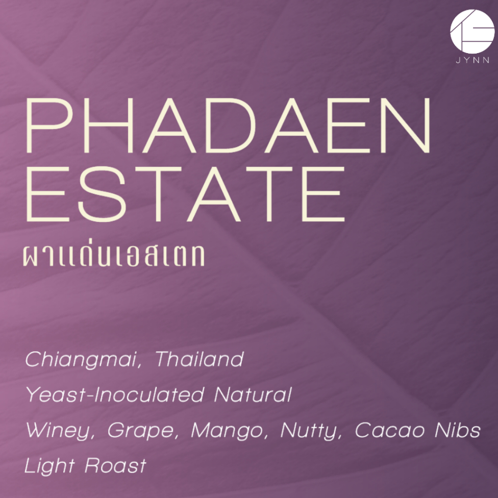 JYNN coffee roasters เมล็ดกาแฟ Phadaen Estate (ผาแด่นเอสเตท) - Natural Process