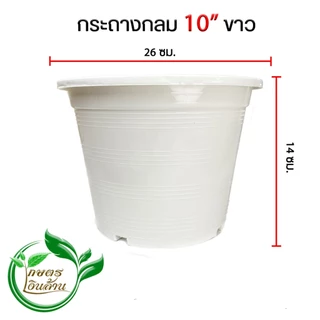 [ส่งด่วน]เกษตรเงินล้าน กระถางกลมดำ 10นิ้ว จัดชุด 50 ใบ อย่างดี พร้อมส่ง By.คิม เกษตรเงินล้าน