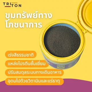 Triton Balloon ไทรทันบอลลูน อาหารปลาขนาดเล็ก สูตรพิเศษ โปรตีนสูง 50% ปลาบอลลูน