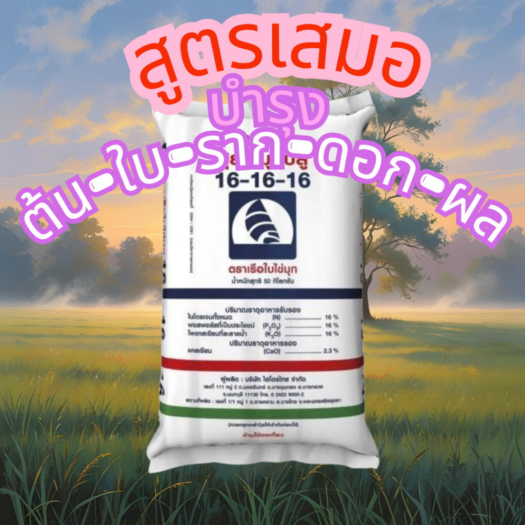 ปุ๋ย 16-16-16 (แบ่งขาย) ตราเรือใบไข่มุก ปุ๋ยสูตรเสมอ ปุ๋ยเร่งดอก เร่งผล