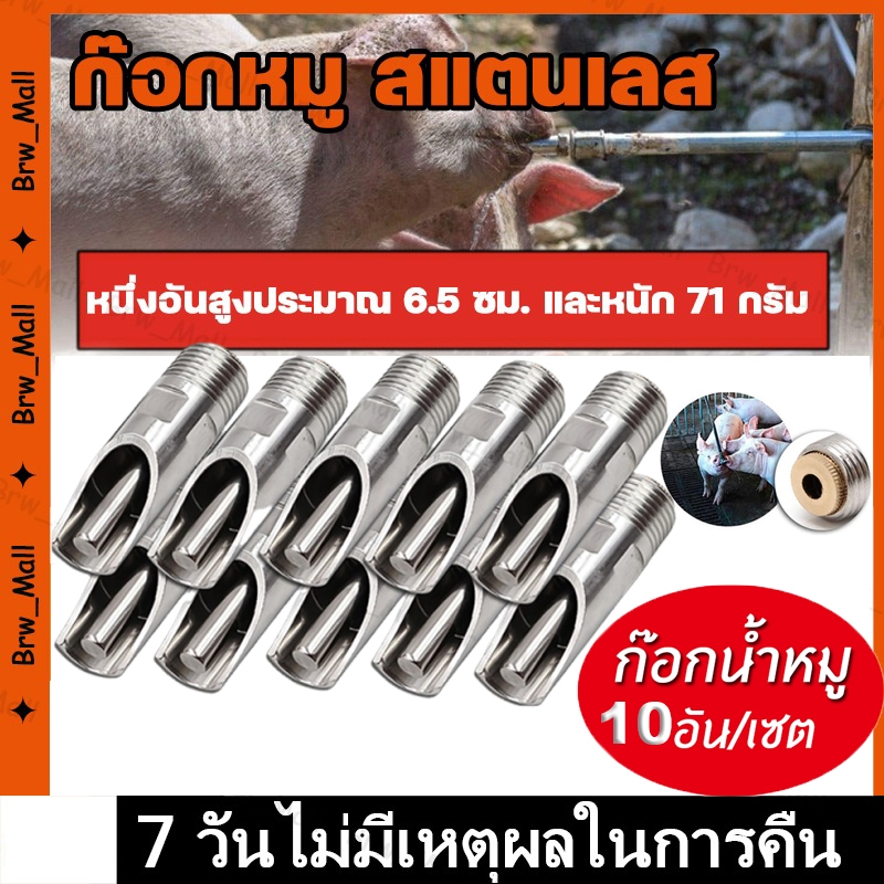 TH Tools จุกน้ำหมู4หุน ก๊อกน้ำหมู จุบน้ำสุกร 10ชิ้น ก๊อกหมู สแตนเลส เกลียว 1/2" ก๊อก