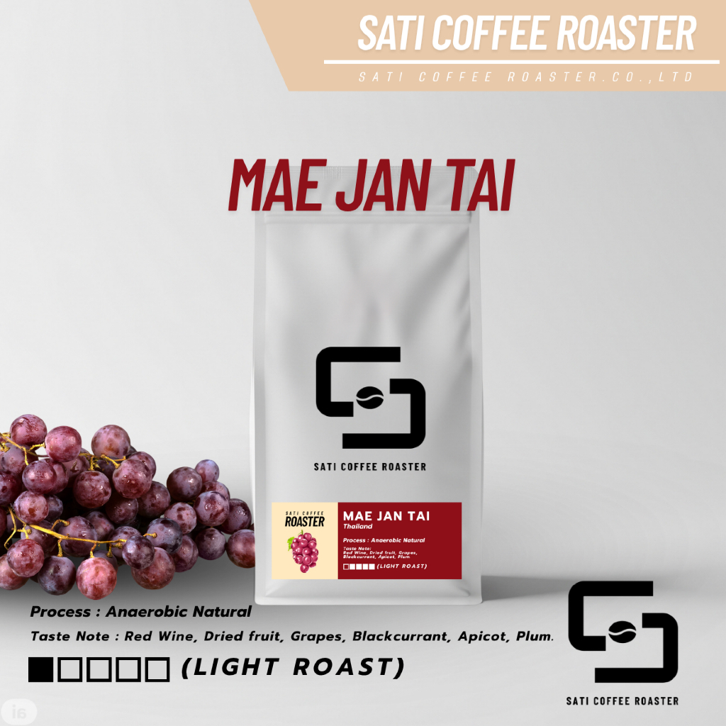 เมล็ดกาแฟแม่จันใต้ คั่วอ่อน โรงคั่วกาแฟสติ คอฟฟี่ โรสเตอร์