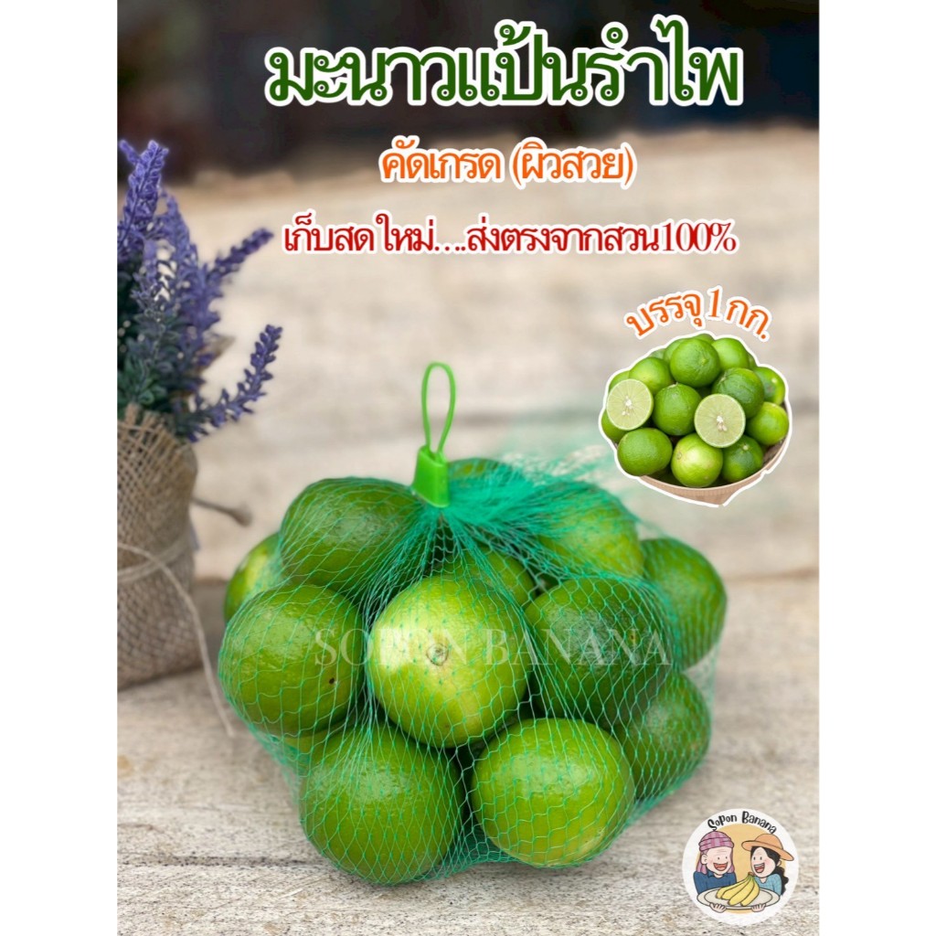 มะนาวแป้นรำไพ คัดเกรด(ผิวสวย) *คละไซส์ *1 กิโลกรัม ส่งตรงจากสวน 100%