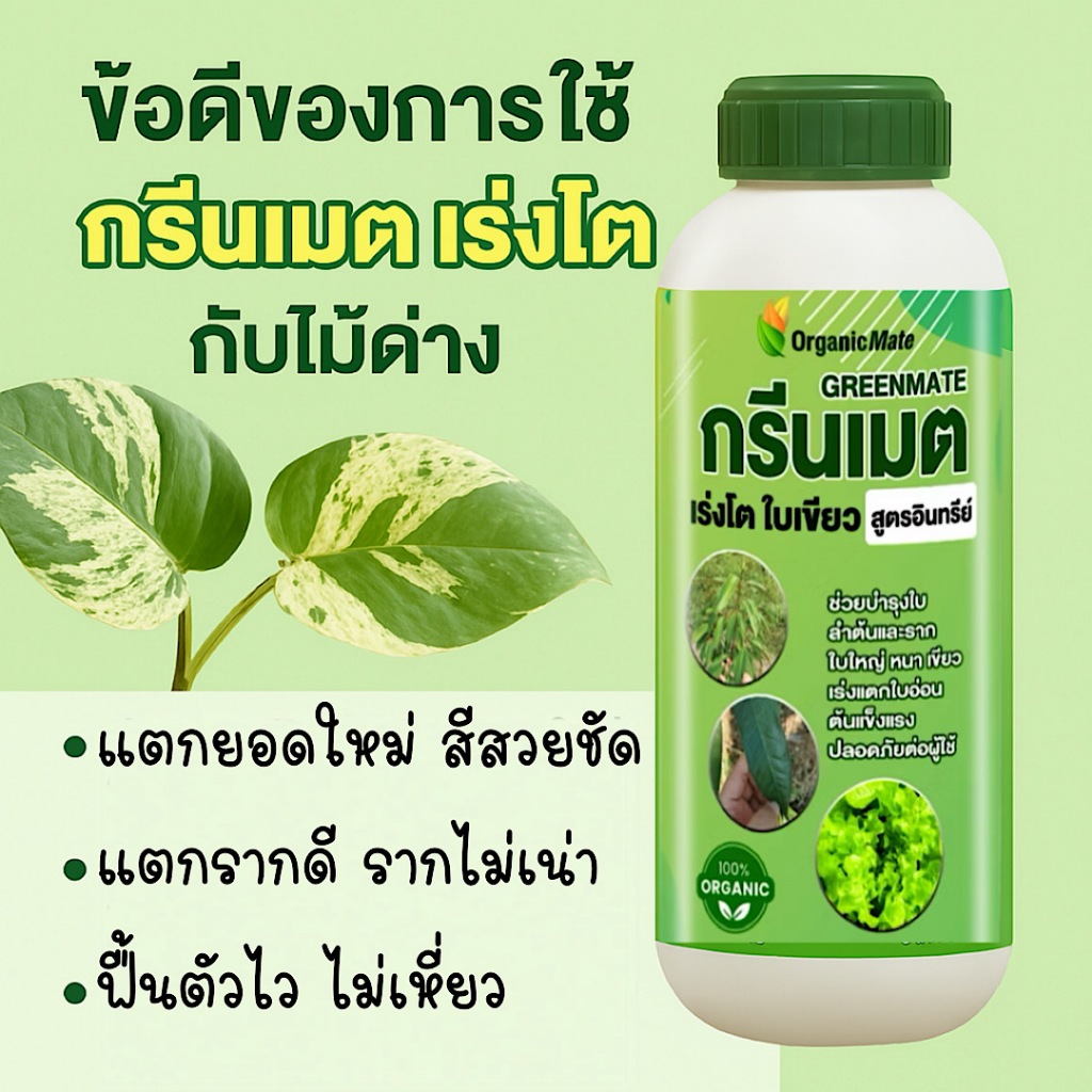 กรีนเมต บำรุงไม้ใบ ไม้ด่าง แตกรากดี แตกยอดไว อาหารเสริมไม้ด่างทุกชนิด ยาเร่งราก บำรุงสีไม้ด่างสวย