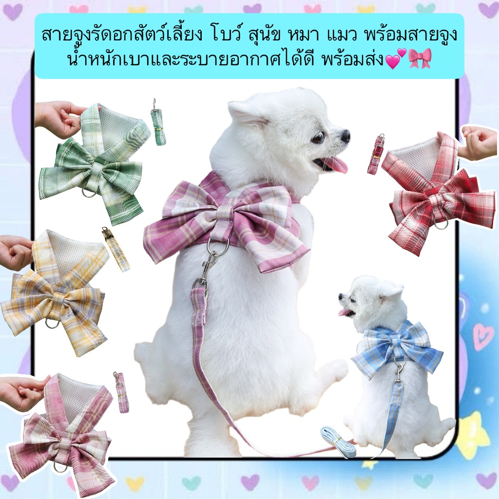 PP-511 สายจูงรัดอกสัตว์เลี้ยง โบว์น่ารัก สำหรับสุนัขและแมว น้ำหนักเบา ระบายอากาศดี พร้อมสายจูงยาว 120 ซม. พร้อมส่งทันที