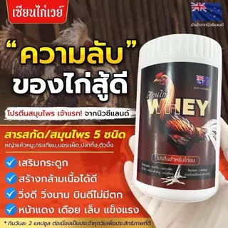 1แถม1 (แถมในกระปุก)🔥เซียนไก่เวย์🔥เวย์โปรตีนไก่ชน วิ่งอึด วิ่งทน เสริมกร้ามเนื้อ เสริมกระดูก หน้าแดง เดือย เล็บ