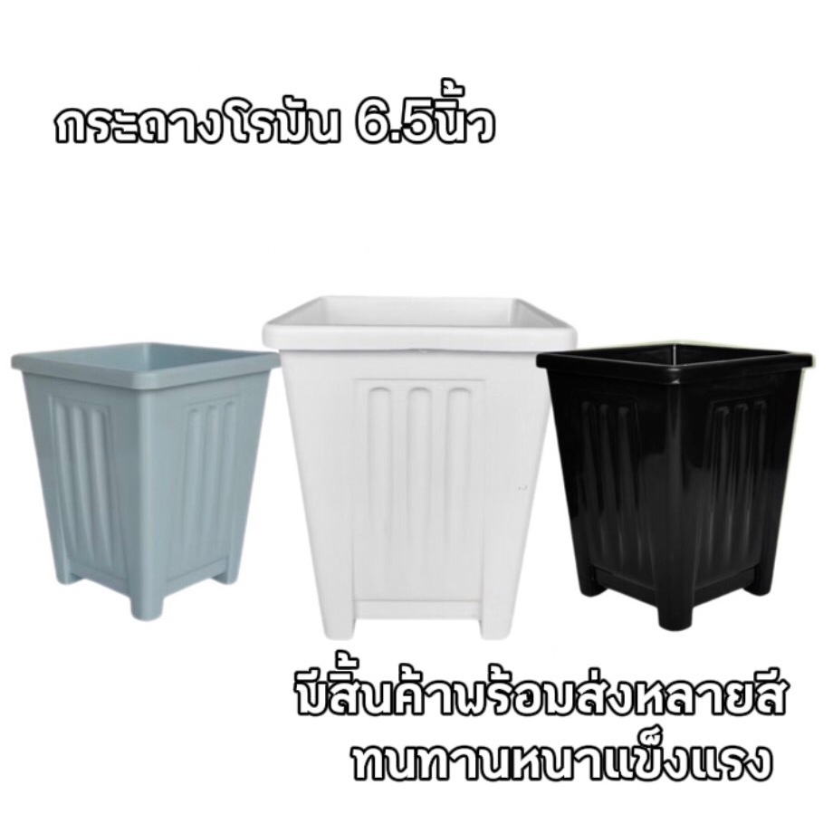 dt.home กระถางต้นไม้พลาสติกต้นไม้ กระถางโรมันเหลี่ยม ขนาด 6.5นิ้ว พร้อมส่ง