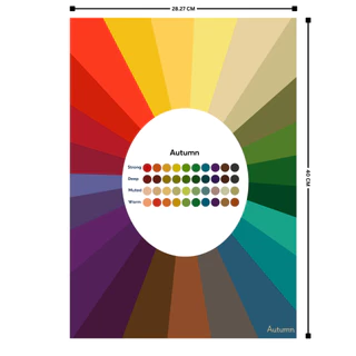 กดโค้ดลดเพิ่ม ทดสอบ Personal Color ของคุณได้ด้วยตัวเองง่ายๆ แผ่น Personal Color Chart ไม่ใช่ภาษาจีน