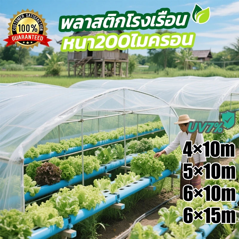 Daily Gold 200ไมครอนหนา พลาสติกคลุมโรงเรือน กันฝน พลาสติกใส เรือพลาสติก พลาสติก หลังคา ผ้ายางใส ผ้าใบใส 4×10M 5×10M 6×10