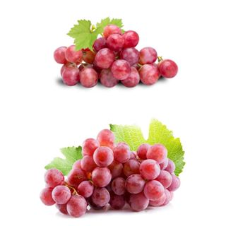 องุ่นแดง(คัดเกรด+มีส่งด่วน)องุ่นแดงไร้เมล็ด องุ่นแดงสด องุ่น…