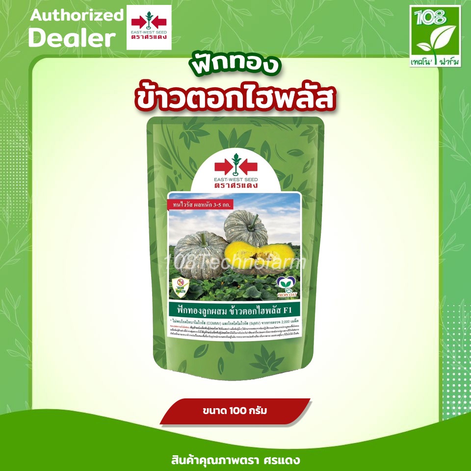 เมล็ดพันธุ์ ฟักทองข้าวตอกไฮพลัส ตรา ศรแดง ขนาด 100 กรัม