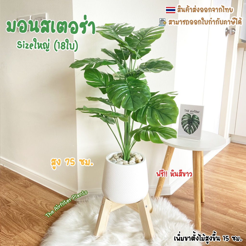 ต้นไม้ปลอมSizeใหญ่(18ใบ)พร้อมกระถาง(ฟรี!!หินโรย) ต้นมอนสเตอร่าสูง75-90ซม. ตั้งบริเวณบ้าน ข้างโซฟา ตั้งหน้าTV ต้นไม้มงคล
