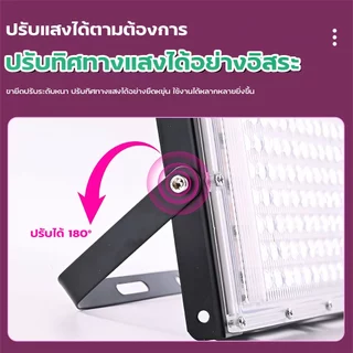 ไฟเลี้ยงต้นไม้ ไฟปลูกต้นไม้ 100W ไฟเลี้ยงแคคตัส ไฟเลี้ยงไม้ด่าง ไฟเลี้ยงกระบองเพชร Full Spectrum LED Growth Lights