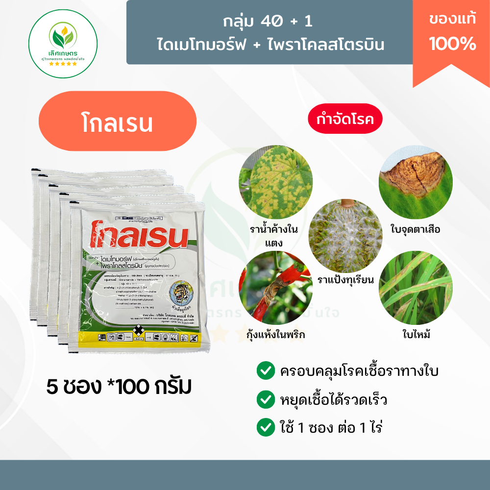 โกลเรน (5ซอง) 100กรัม ไดเมโทมอร์ฟ+ไพราโคลสโตรบิน จบปัญหาเชื้อราทางใบ! หยุดลามทันที! ราน้ำค้าง ใบจุดตาเสือ ใบไหม้