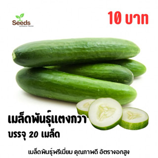 เมล็ดพันธุ์แตงกวา บรรจุ 20 เมล็ด/ซอง