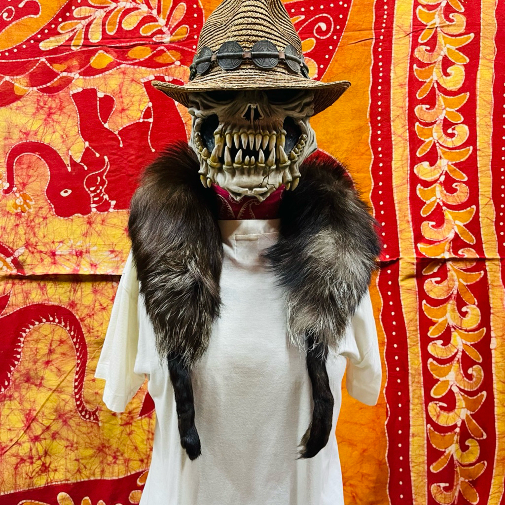 Arctic Fox..Snowy Fox  Three-Tone Dark Brown White Fur Fox..Saga  สุนัขจิ้งจอกหิมะ แห่งขั้วโลกเหนือ 