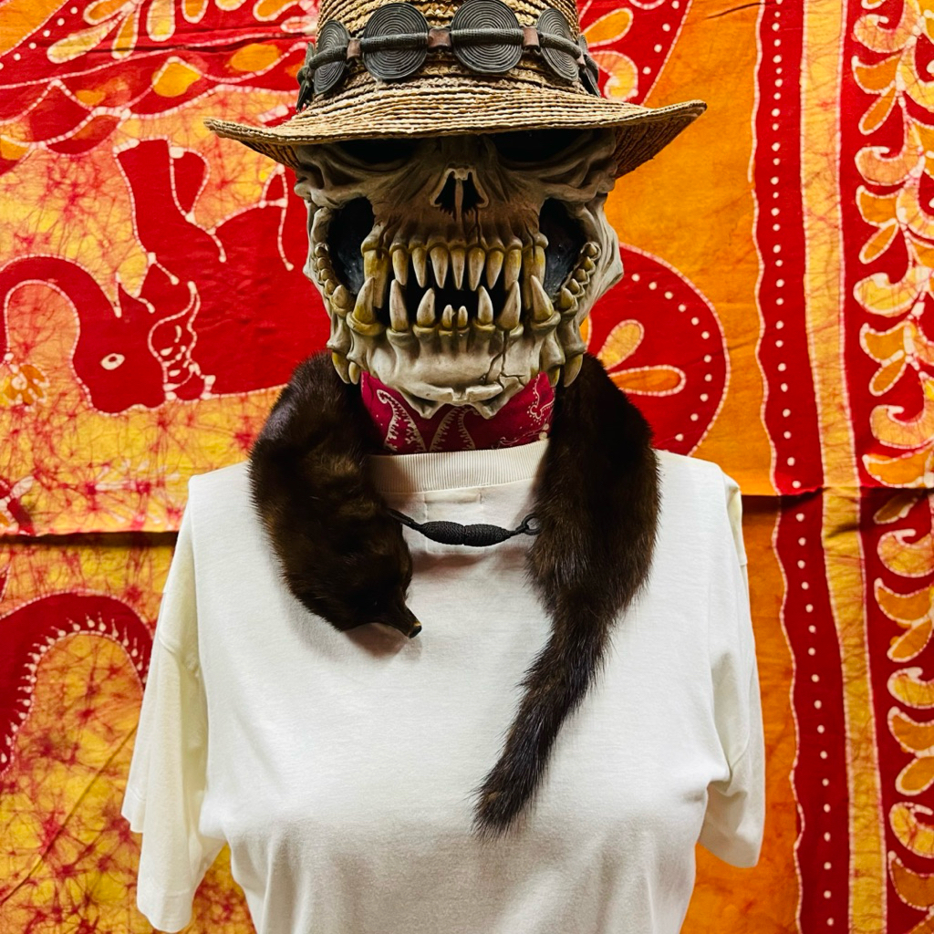 Arctic Fox..Snowy Fox Chocolate  Baby Red Fox.Saga..Fur Size Minimal  สุนัขจิ้งจอกหิมะ แห่งขั้วโลกเห