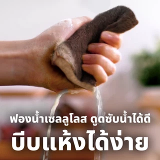 3M™ Scotch-Brite® สก๊อตช์-ไบรต์ ฟองน้ำเซลลูโลสพร้อมแผ่นใยขัด, กรีนเนอร์คลีน, สำหรับงานขัดทั่วไป, 2 ชิ้น/แพ็ค
