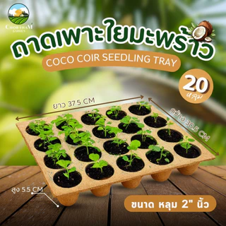 ถาดเพาะใยมะพร้าว 20 หลุม Coco Coir Seedling Tray วัสดุธรรมชาติ ปลอดสารพิษ อุ้มน้ำดี ย้ายลงดินได้เลย