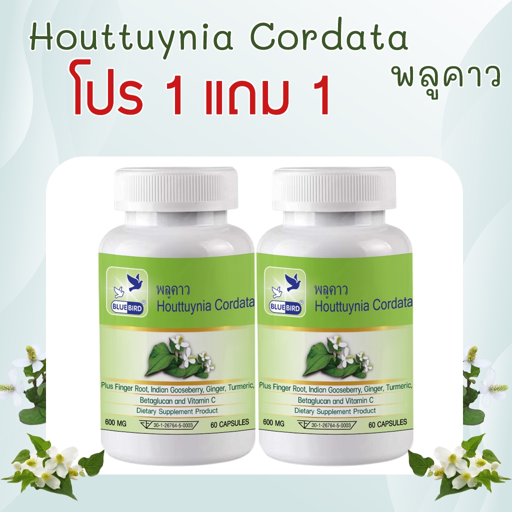 [1แถม1] พลูคาว คาวตอง Cordata ตรา บลูเบิร์ด ขนาด 600 มิลลิกรัม 60 แคปซูล